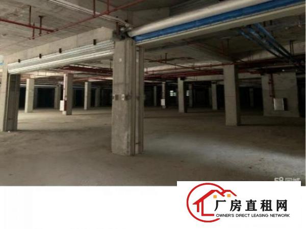  虎门一号开发商物业11000平米室内独栋商业商场招租