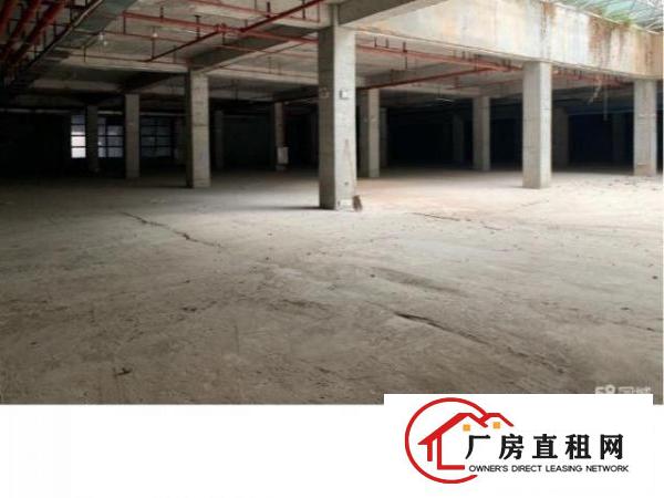  虎门一号开发商物业11000平米室内独栋商业商场招租