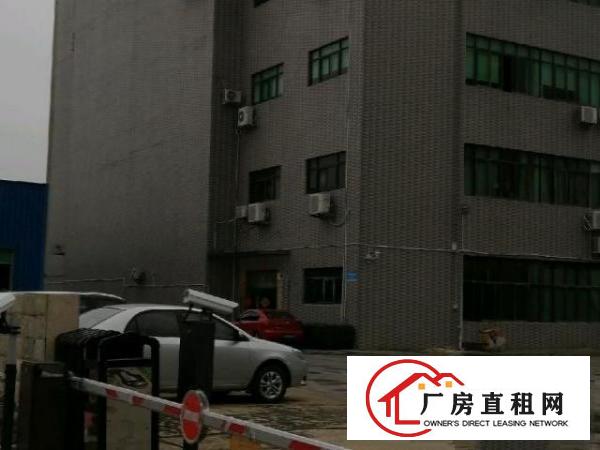  本厂房一楼转租，无公滩，中介勿扰