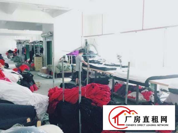  虎门龙眼厂房分租，免中介费