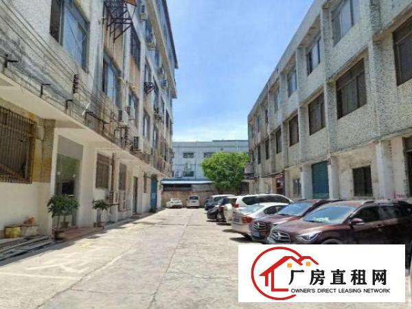  虎门工业园厂房火爆招租中