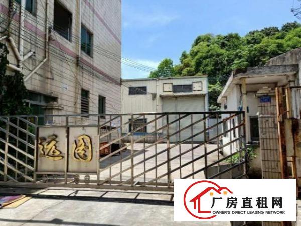  虎门工业园厂房火爆招租中