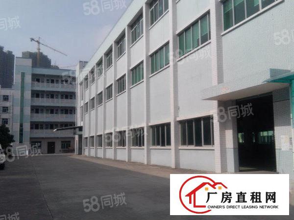  出租虎门镇龙眼广场一楼，价格美丽，房东直租。