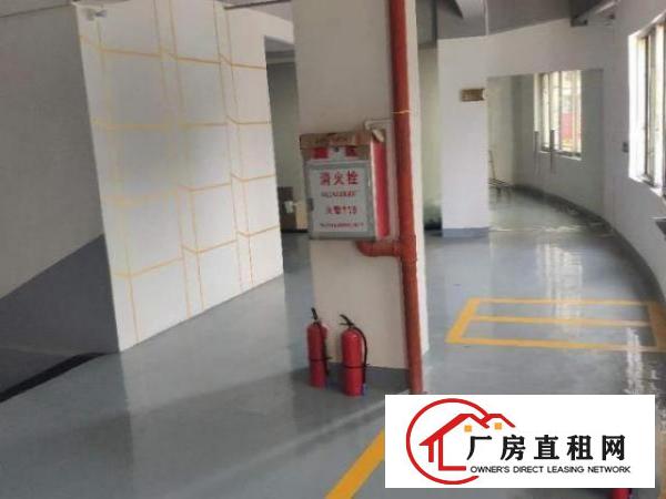  原房东招租诚信出租目前疫情影响房源较为充足，欢迎咨询。