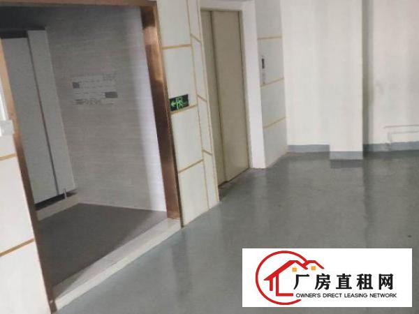  原房东招租诚信出租目前疫情影响房源较为充足，欢迎咨询。