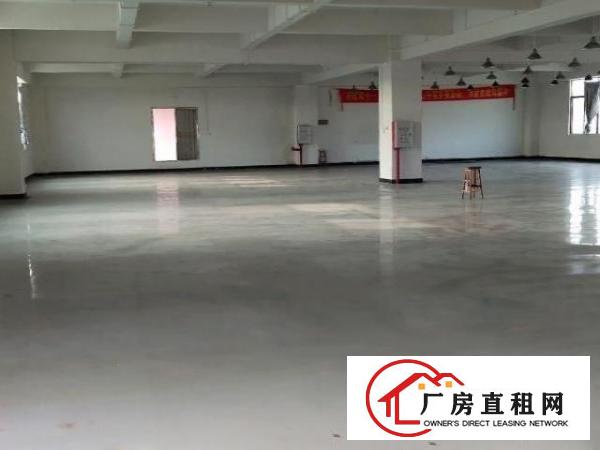  龙眼原房东直租现成制衣装修800平