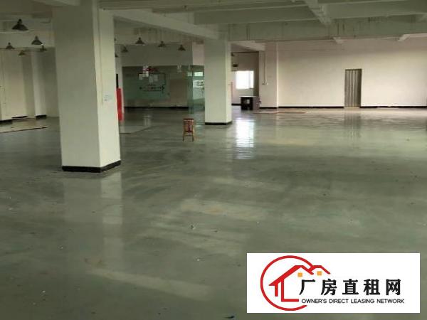  龙眼原房东直租现成制衣装修800平