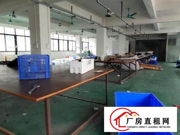  龙眼原房东直租现成制衣装修800平