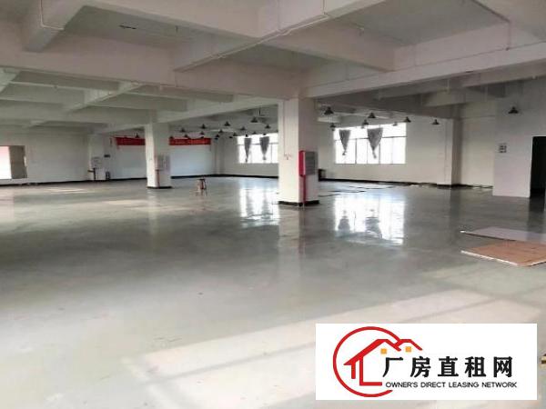  龙眼原房东直租现成制衣装修800平