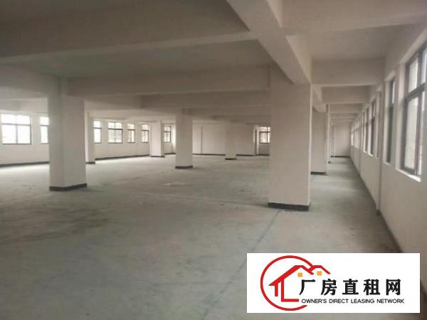  居岐社区全新厂房招租