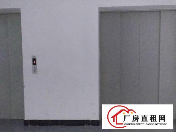  出租虎门树田750平厂房室内装修干净环境优美