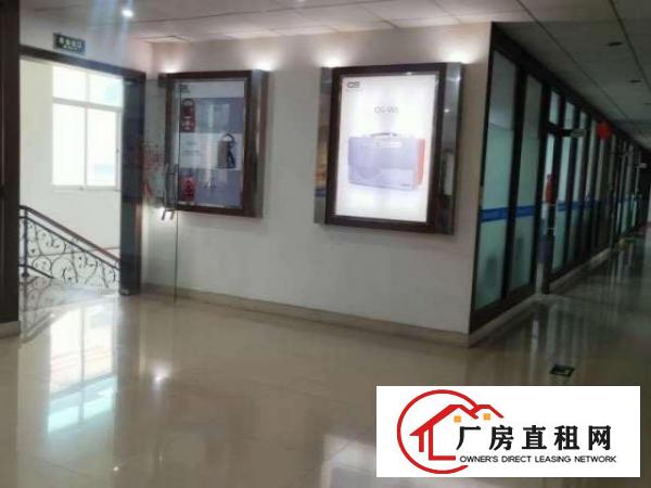  出租/虎门镇社岗工业区独院厂房7000平方，可分租