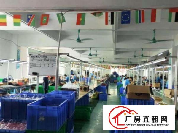  出租/虎门镇社岗工业区独院厂房7000平方，可分租