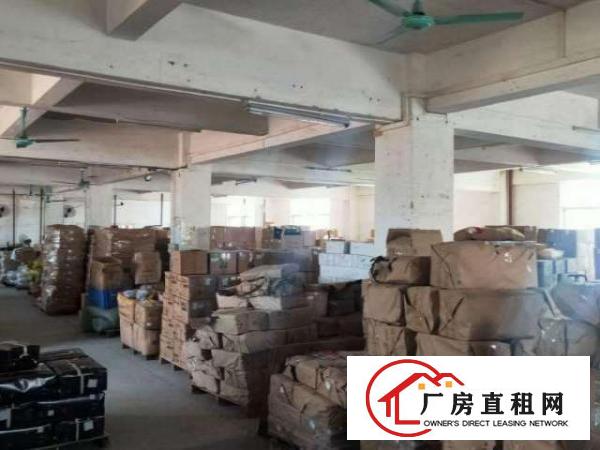  出租/虎门镇社岗工业区独院厂房7000平方，可分租