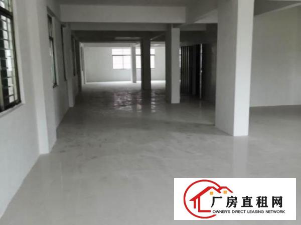  南栅宴岗旧村新建厂房