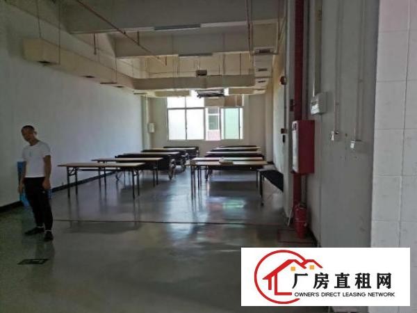  出租虎门南栅市场附近新出289平带豪华装修的厂房
