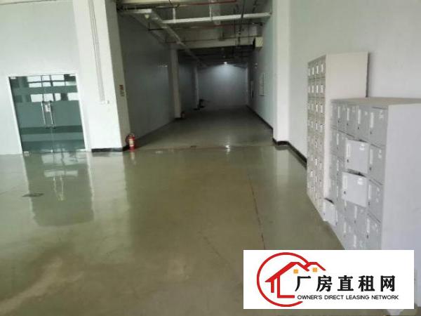  出租虎门南栅市场附近新出289平带豪华装修的厂房