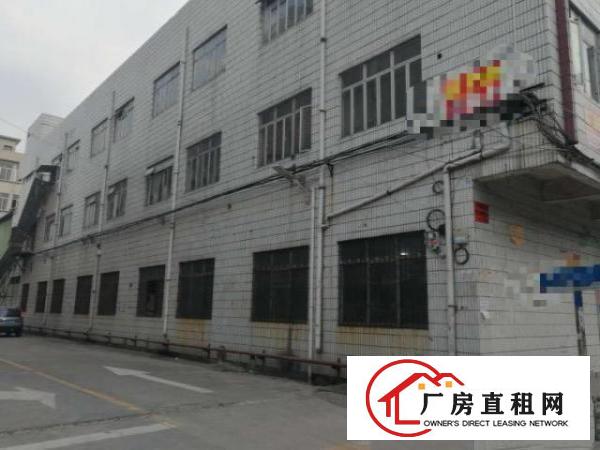  北栅新出楼上原房东带装修厂房600方