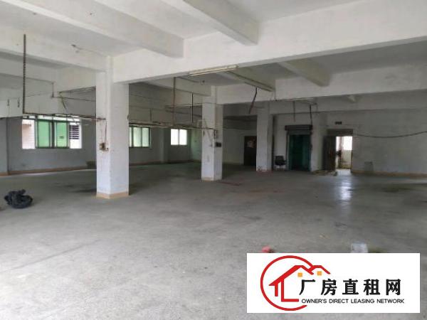  虎门北栅个人500平电梯厂房出租