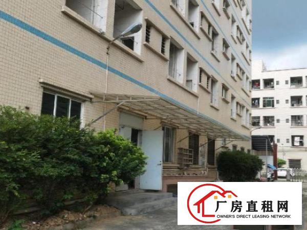  原房东只接受实业客1000铁皮房不算面积