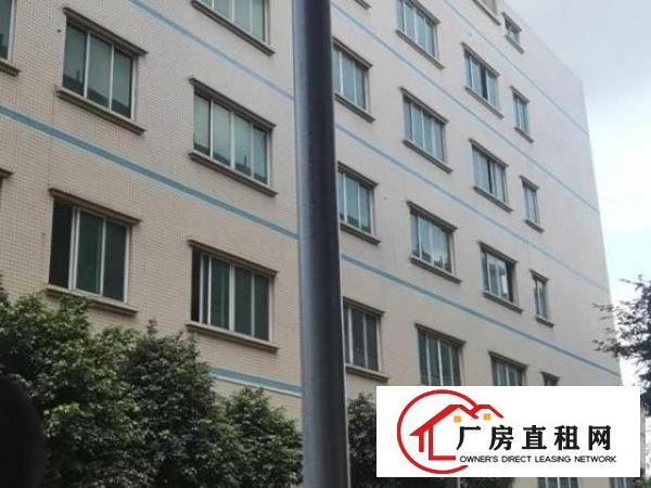  原房东只接受实业客1000铁皮房不算面积