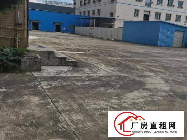  原房东只接受实业客1000铁皮房不算面积
