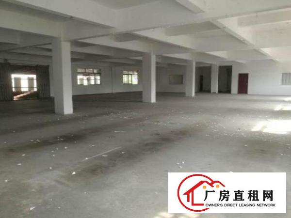  独院8成新框架式厂房可分租