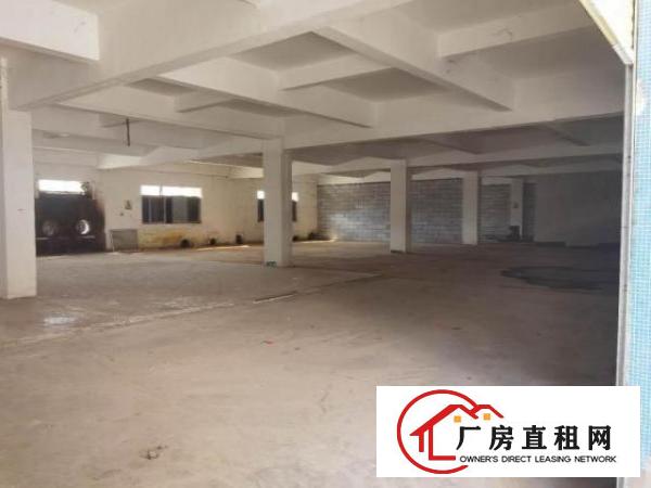  独院8成新框架式厂房可分租