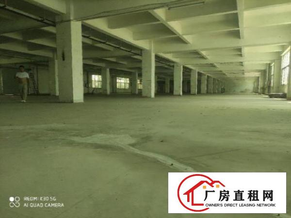 独院8成新框架式厂房可分租