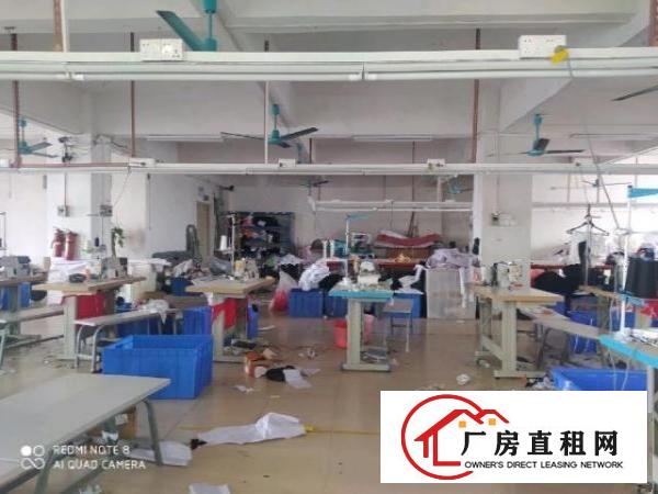  虎门北栅原房东厂房出租