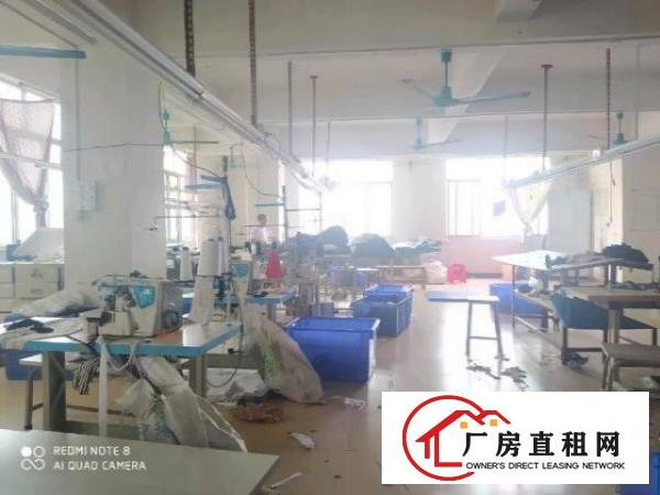  虎门北栅原房东厂房出租