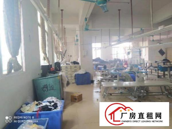  虎门北栅原房东厂房出租