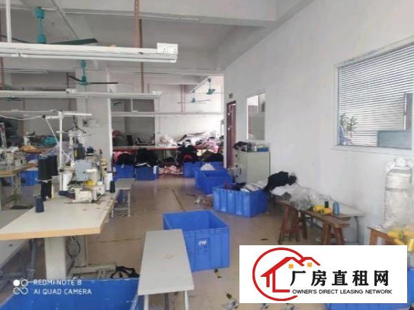  虎门北栅原房东厂房出租