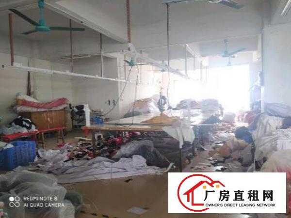  虎门北栅原房东厂房出租