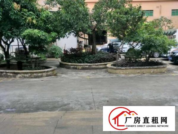  出租虎门路东东环二路27号