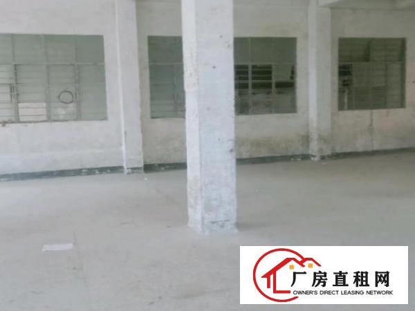  本栋厂房可做物流和仓库
