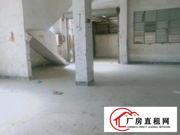  本栋厂房可做物流和仓库