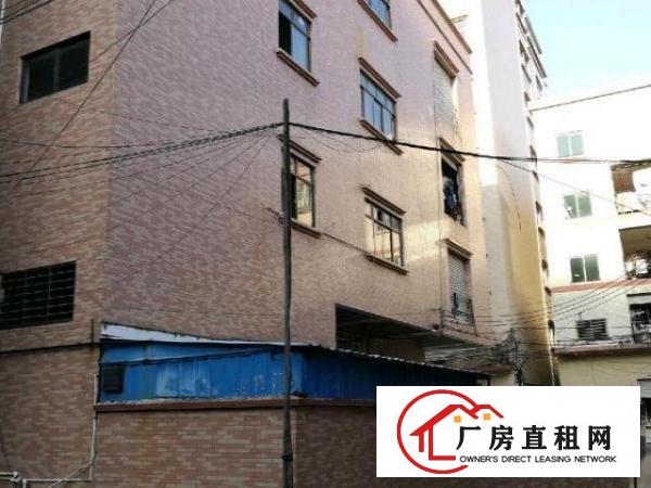  三、四楼待租。无电梯。。