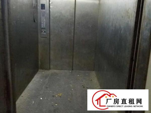  虎门南栅六区380平方厂房招租