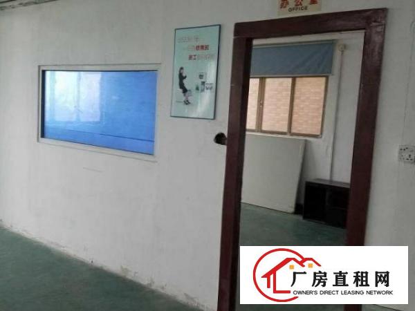  虎门南栅六区380平方厂房招租