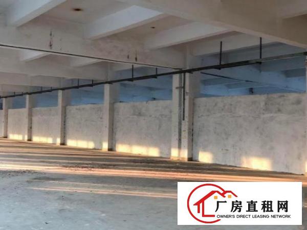  南栅独院标准电梯厂房可分租1000平方