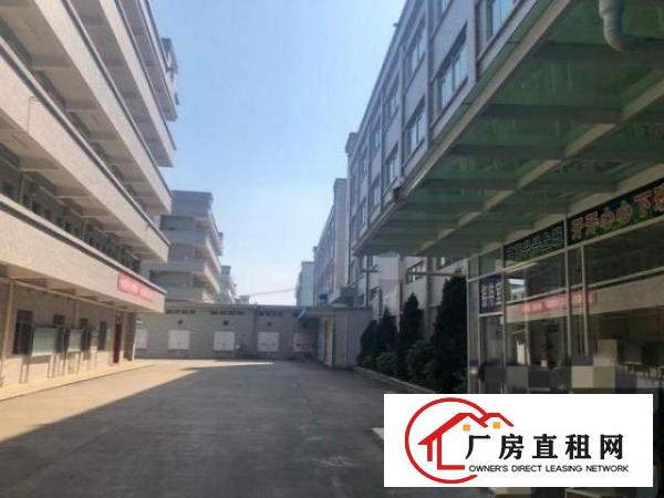  大宁工业区独院厂房出租八成新分租1000平方