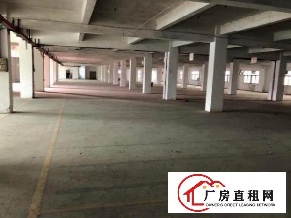  大宁工业区独院厂房出租八成新分租1000平方