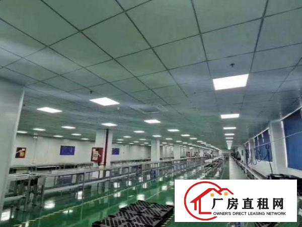  带喷油喷漆环评独院厂房出租，可分层出租