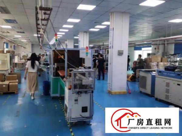  出租虎门黄河240平方厂房，水电齐全精装修
