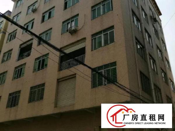  五楼业主房东厂房，带简装，无二手房东