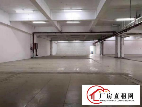  虎门原房东出租220平，租金便宜