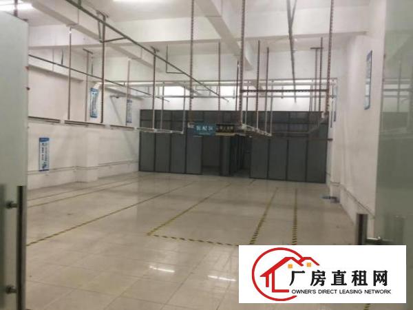  虎门独栋1-3楼可分租，大小面积可选