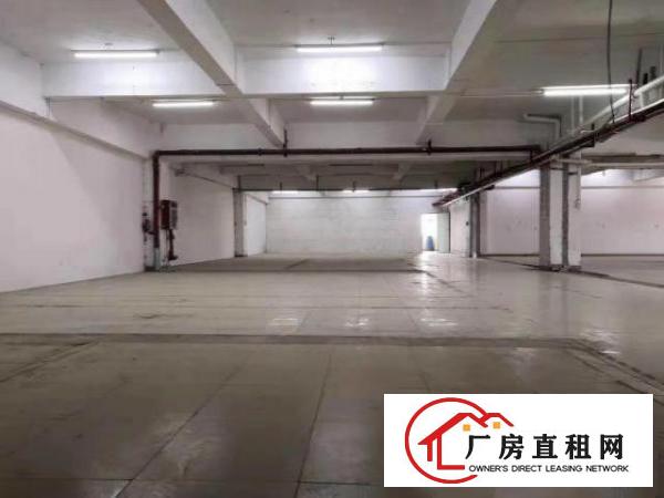  虎门独栋1-3楼可分租，大小面积可选