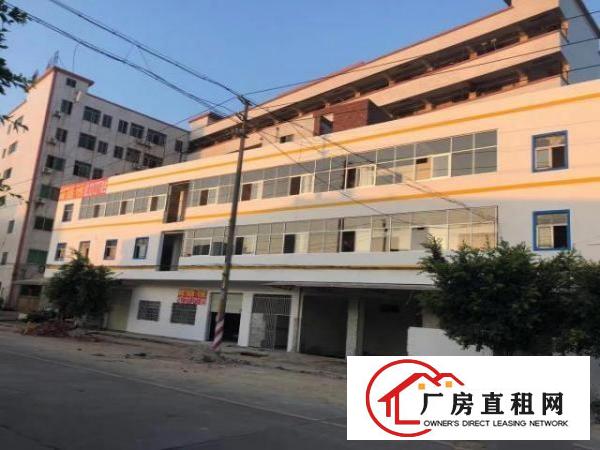  虎门居岐358省道旁边300平出租